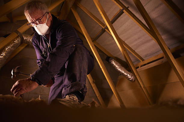 Best Insulation Maintenance and Repair in Wells Branch, TX